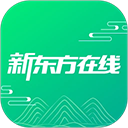 视决
